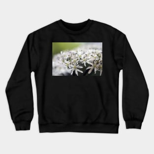 Queen Anne's Lace Crewneck Sweatshirt